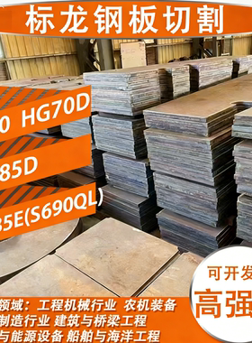 S235J2+N碳素钢 S235JR S355J2欧标低合金整板零割规格齐全S355J0