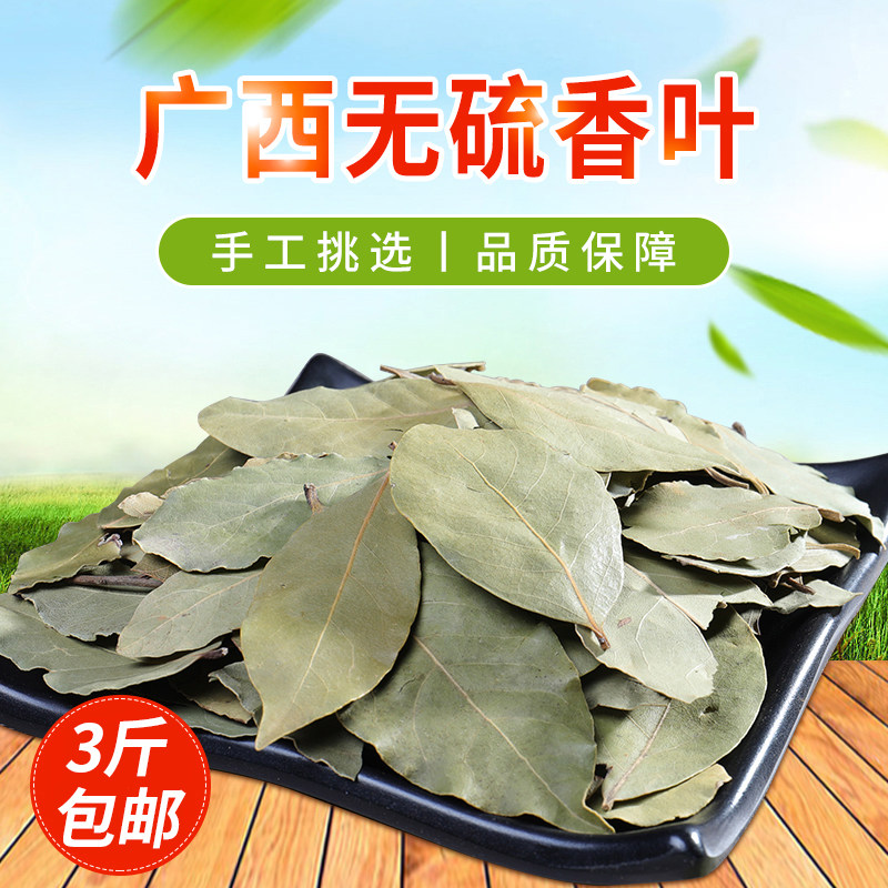 广西香叶500克 月桂叶桂叶香桂叶天竺桂 厨房调味料香料卤料散装