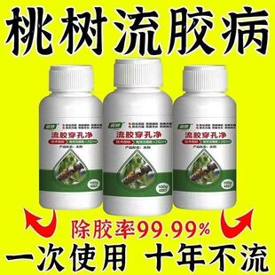 桃树流胶病专用流胶一喷净杀菌剂桃树果树溃疡腐烂病流胶穿孔通用