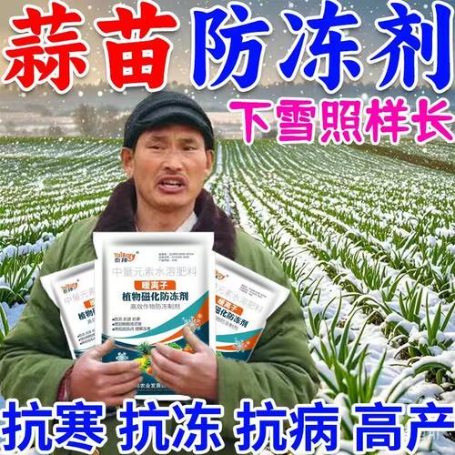 植物防冻剂作物抗寒防冻液抗逆提高作物温度防寒抗冻