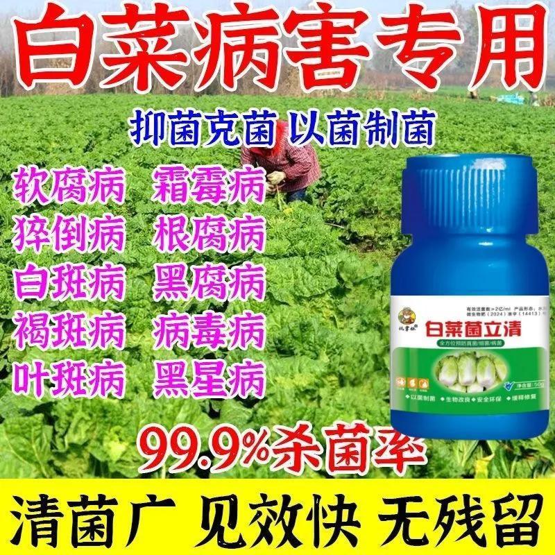 卷心菜催生叶面肥白菜生菜油麦菜农用速长专用肥