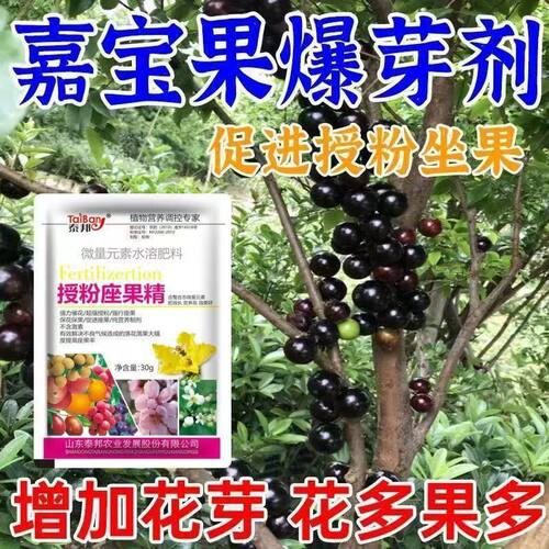 嘉宝果专用催花肥挂果催花坐果树葡萄果树珍宝果保花保果庭院农用