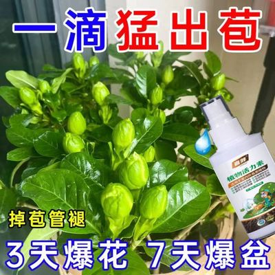 植物快速见效增肥活力素绿叶花卉家用有机生长营养液