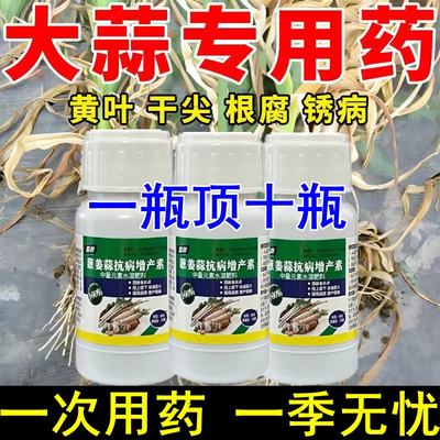 大蒜专用农药大蒜病全治大蒜锈病黄叶干尖叶枯病菌核病根腐软腐病