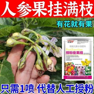 果树通用防落素防落花落果坐果肥全树种保果防落灵