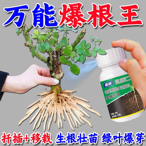 【一喷全是根】老桩催芽生根壮苗剂快速发新芽大树移栽扦插复活灵
