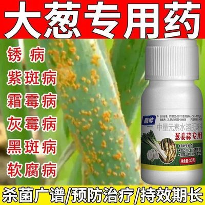 大蒜蒜苗专用药病全治黄叶干尖锈病紫斑病根腐灰霉叶枯病