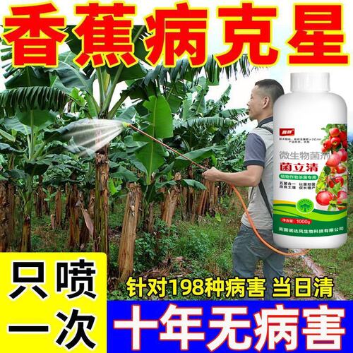 香蕉专用药香蕉病全治香蕉枯萎病黄叶病黑斑病黑星病叶斑病杀菌剂