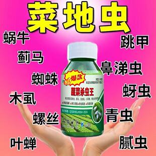 蔬菜杀虫王种植除虫蚜虫蓟马地老虎蛴螬小菜蛾一喷全杀助剂