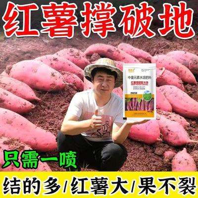 红薯专用膨大素红薯专用药控旺增产防裂抗病红薯叶面肥膨大素正品
