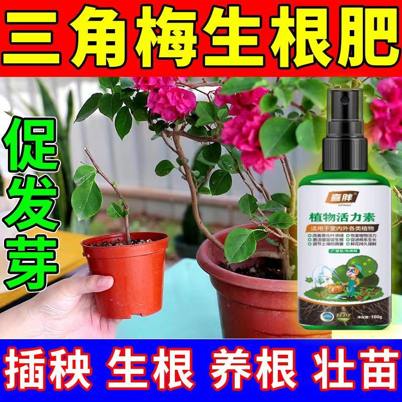 植物黄叶死苗复活灵一喷绿生根壮苗促生长通用液
