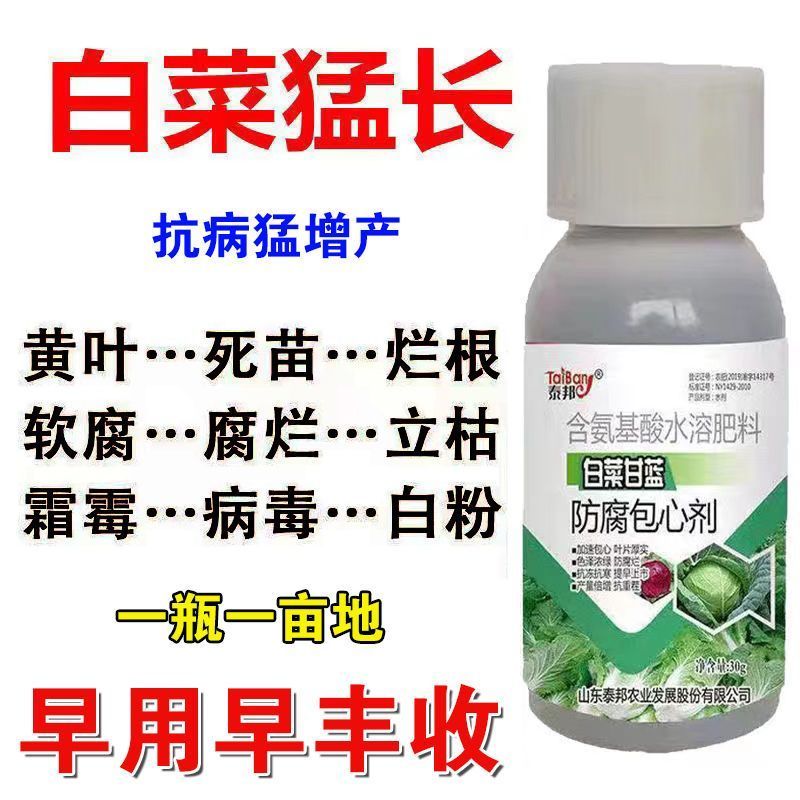 白菜包心膨大剂促进包心增厚防烂防腐抗寒抗逆增产