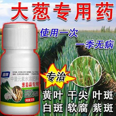 蒜苗病全治专用药大蒜黄叶干尖锈病紫斑病根腐灰霉叶