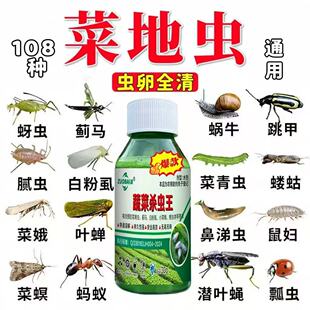 蔬菜杀虫王高效速杀蛴螬地老虎菜青虫蚜虫蓟马红蜘蛛助剂