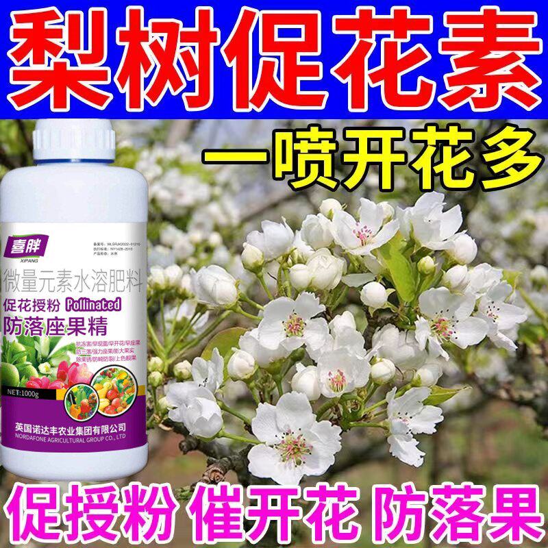 梨树授粉药沾花药梨树授粉座果精防落保花保果强制座果蜜蜂授粉药