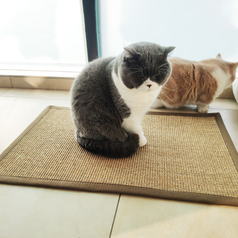 星辰猫爬垫剑麻地毯夏季宠物地垫卧室客厅门垫圆形定制磨爪耐抓毯