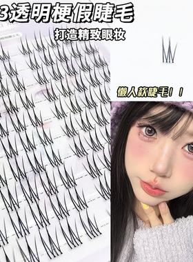 诗诺媚10排大容量懒人款D33透明梗假睫毛自然分段卷翘眼睫毛批发