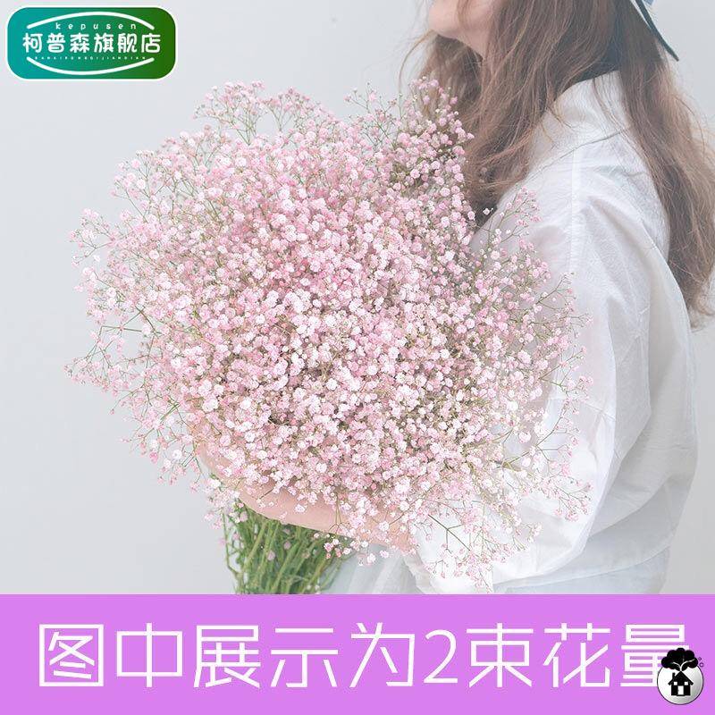 星星花束多色满天星干花真花鲜花瓶手工纸折花卉客厅装饰摆件