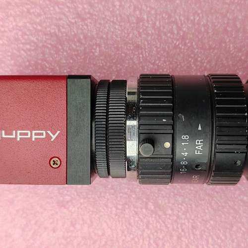 议价guppy德国工业相机  GF 503B ASG