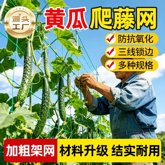 黄瓜爬藤网植物攀爬网新型加粗防抗氧化种植网格农用蔬菜庭院瓜网