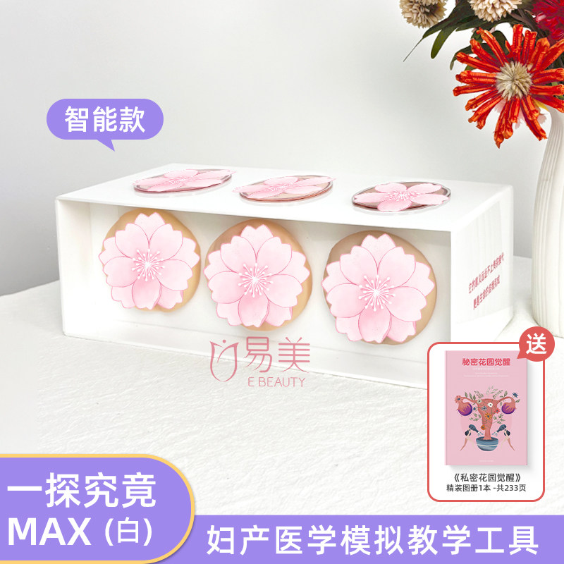易美私密教学仿真模型阴道松紧
