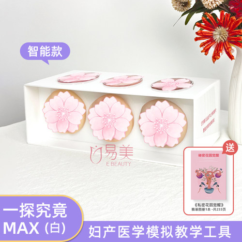 易美私密教学仿真模型阴道松紧