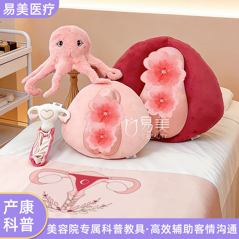 妹妹抱枕科普模型八爪鱼公仔私密培训产康女性生殖健康科普沟通品