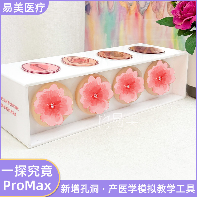 妇科教学模型四通道版一探究竟PROMAX女性生殖周期演示工具科普款,文具电教/文化用品/商务用品,教学标本/模型,淘宝优惠券,粉丝福利购,淘宝优惠卷