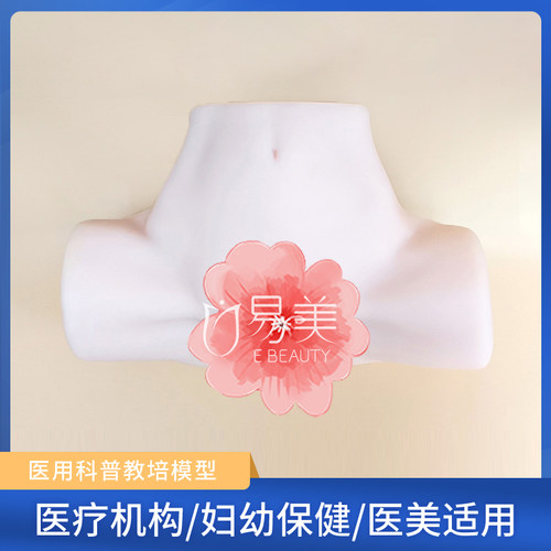 女性硅胶模型医学培训解剖医学