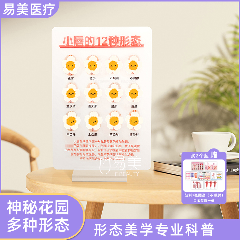 神秘花园多种形态亚克力摆台美容会所场景布置医患沟通项目介绍品