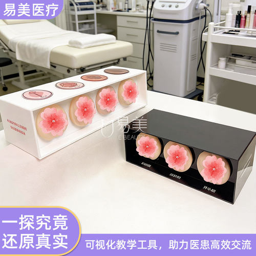 私密模型一探究竟触感黏膜年轻态通道妇产科培训科普美容会所专用