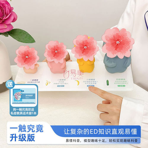 一触究竟触感模型四级硬度对比健康科普教具可拆卸ED分级互动体验