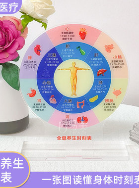 身体器官工作时间创意摆件全息养生时刻表作息规划健康生活亚克力