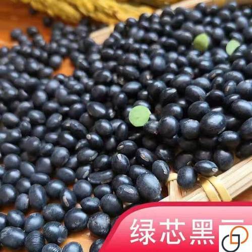 绿心黑豆种子农家大黑豆老品种椭圆形绿芯黑豆豆浆五谷杂粮大黑豆
