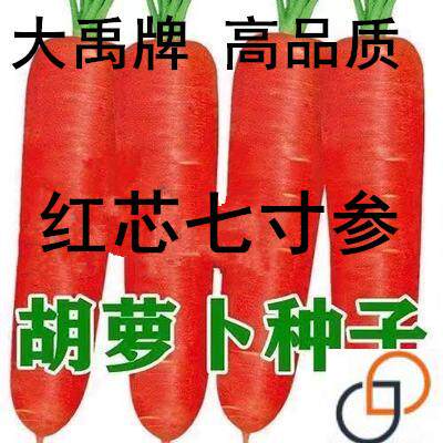 红芯七寸参胡萝卜种子水果蔬菜籽脆甜春秋季四季田园蔬菜种子