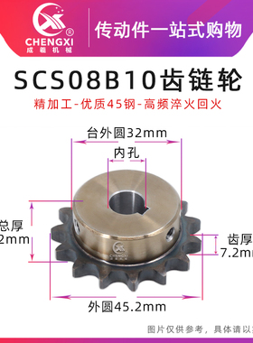 SCS高品质成型孔链轮4分10齿 08B10T外径45.2 精车内孔键槽顶丝