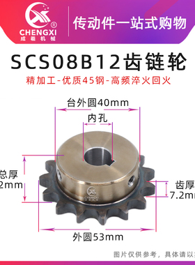 SCS高品质成型孔链轮4分12齿 08B12T外径53 精车内孔键槽顶丝