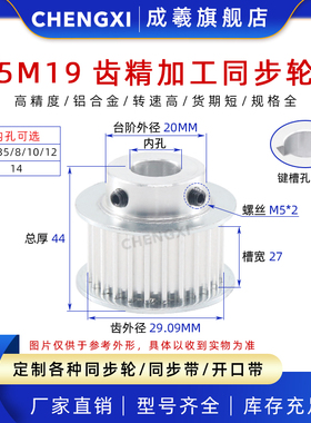 精加工带台同步轮5M19齿 BF型皮带轮凸台带轮 齿外径29.09 槽宽27