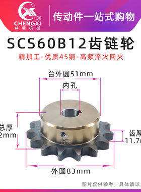 SCS高品质成型孔链轮6分 60B12齿 12A12T外径83精车内孔键槽顶丝