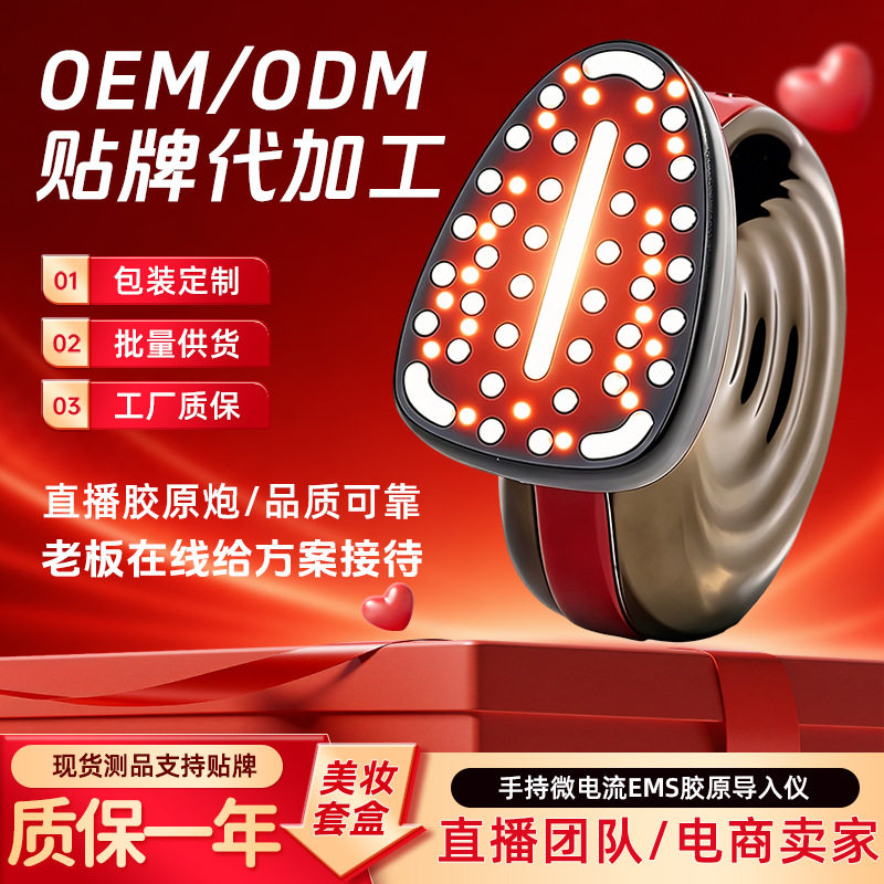 跨境面部家用导入仪EMS微