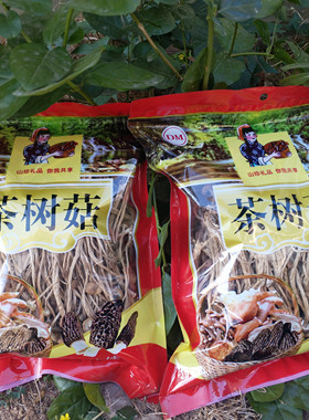 （挑选过）古田农产干货茶树菇不开伞茶薪菇500g新货菌菇包邮无硫
