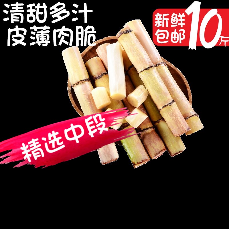 广西特产白玉甘蔗脆甜多汁