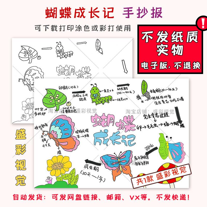 B131昆虫成长记自然笔记蝴蝶的生长过程手抄报模板观察记录线稿a4