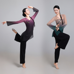 古典舞演出服上衣女身韵纱衣民族舞练功服中国舞艺考形体表演服装