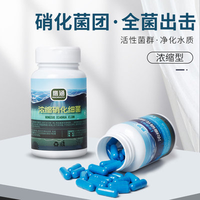 浓缩硝化细菌液鱼缸水族箱过滤器