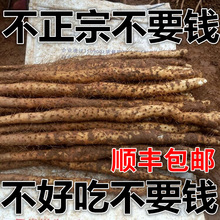 铁棍山药正宗温县垆土铁杆淮山药铁桂铁棒河南焦作新鲜5斤怀山药