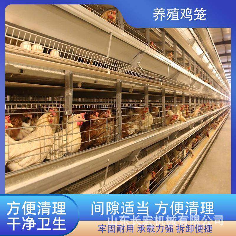 全自动层叠式框架肉鸡笼半自动立体镀锌鸡舍家用养殖捡蛋清粪设备,畜牧/养殖物资,特种养殖设备,淘宝优惠券,粉丝福利购,淘宝优惠卷