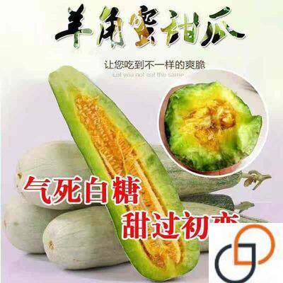 羊角蜜甜瓜种籽羊角酥甜瓜种子香瓜密正品春季四季水果特大超种孑