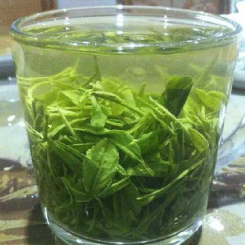 毛尖信阳2026新茶叶雨前口粮茶高山粟香茶场直销炒青绿茶散装包邮