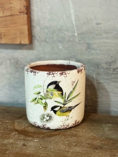 小花农 福利清仓 冰裂小盆 翠鸟系列